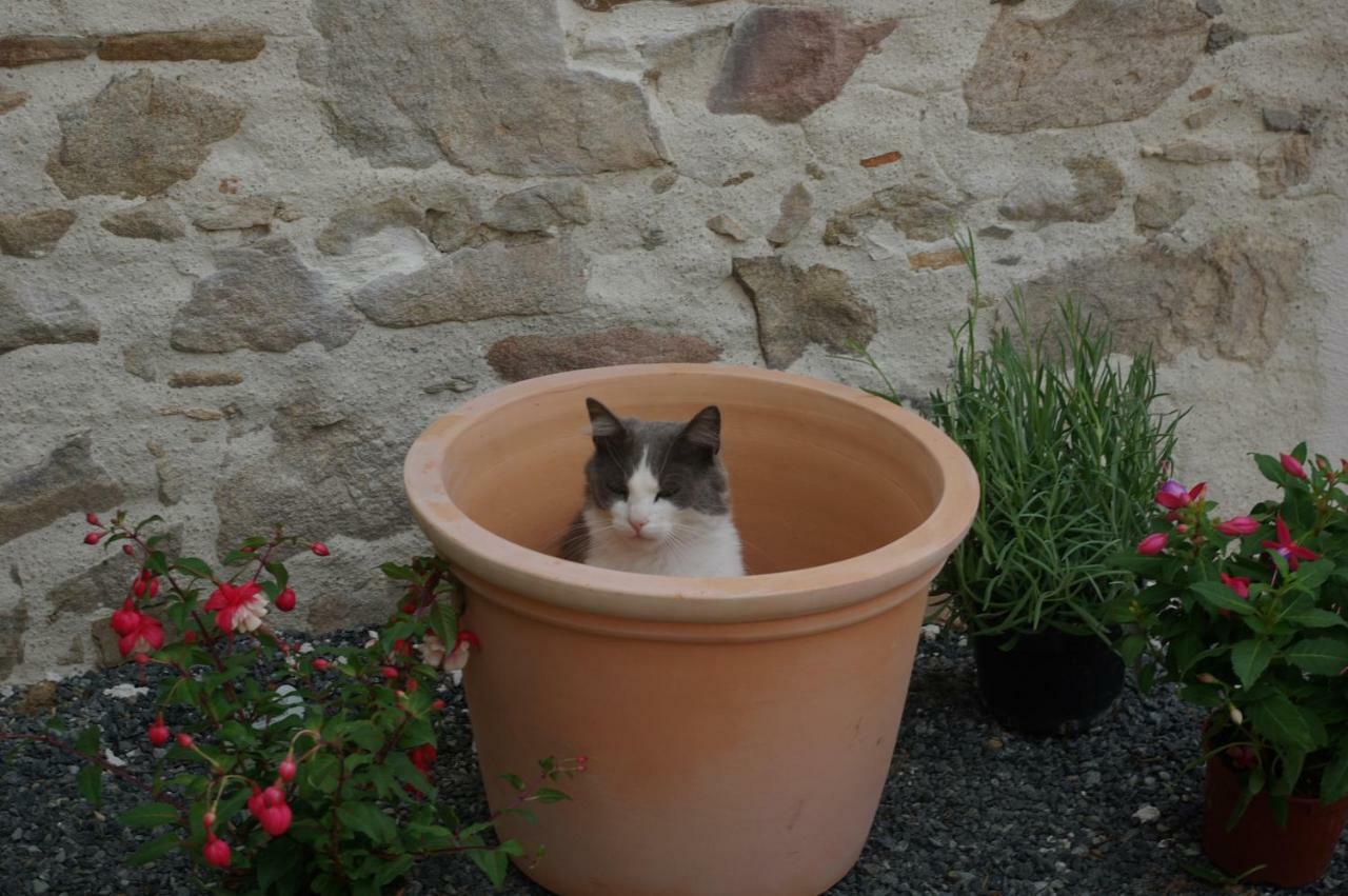 Saint-Viaud Les Trois Etangs B&B 외부 사진